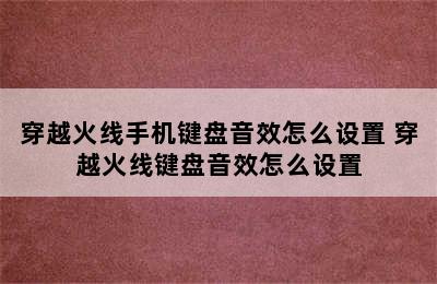 穿越火线手机键盘音效怎么设置 穿越火线键盘音效怎么设置